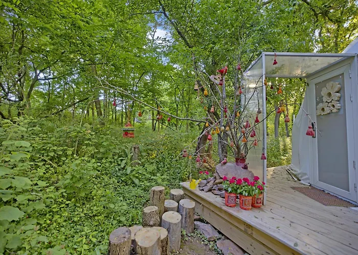 Dream Dome Getaway Near Leesburg
