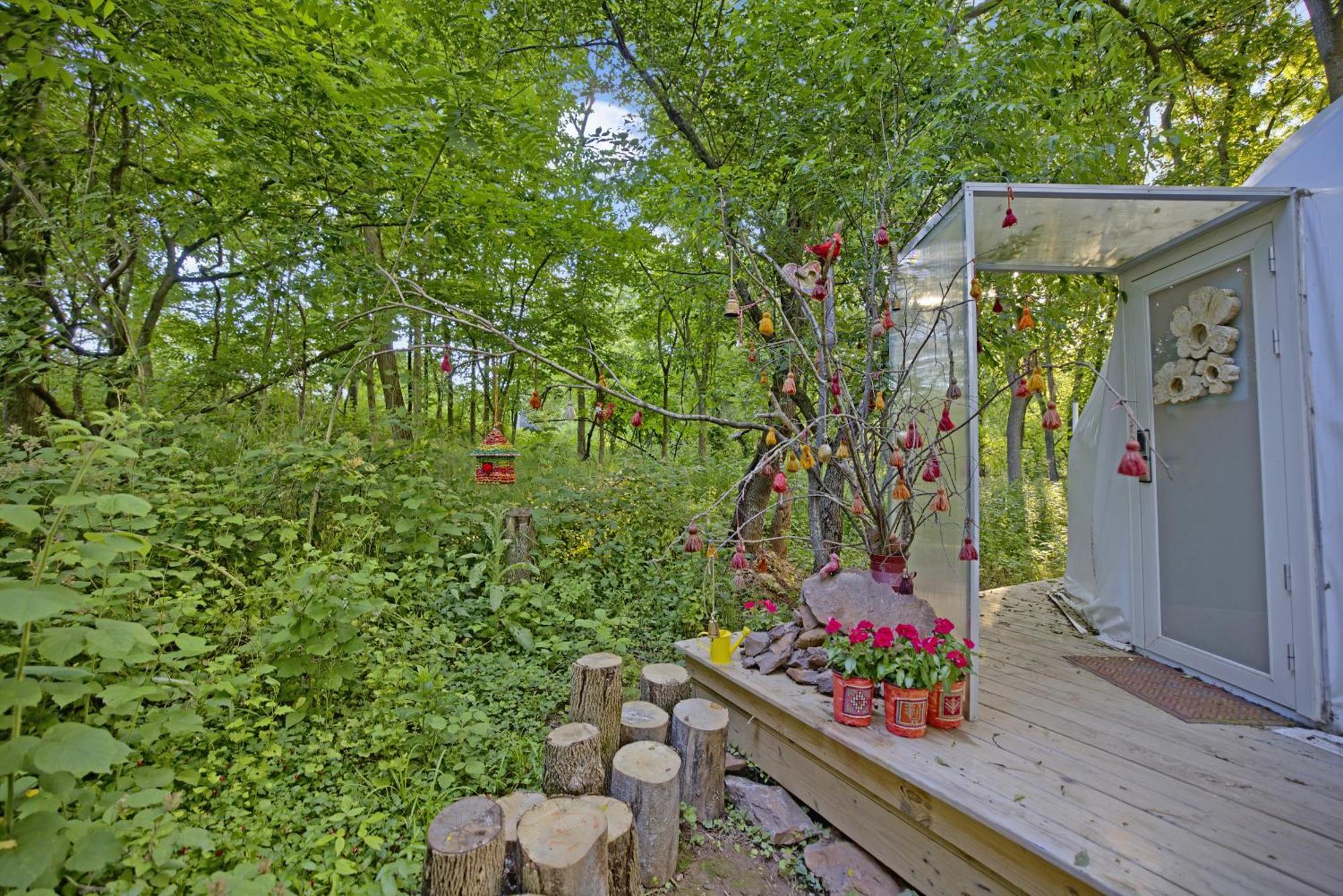 Dream Dome Getaway Near